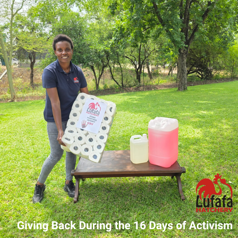 Giving Back During the 16 Days of Activism